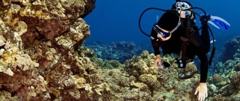 Big Island: 3 Hour Waikoloa Snorkeling & Sailing Adventure - Who Will Love This Tour?