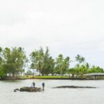 Big Island Adventure Bundle: 5 Epic Audio Driving Tours - Day 1: Cultural and Historical First Impressions