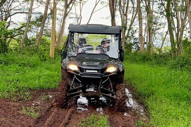 Big Island Family Off Road Farm Adventure - A Deep Dive into the Big Island Family Off Road Farm Adventure