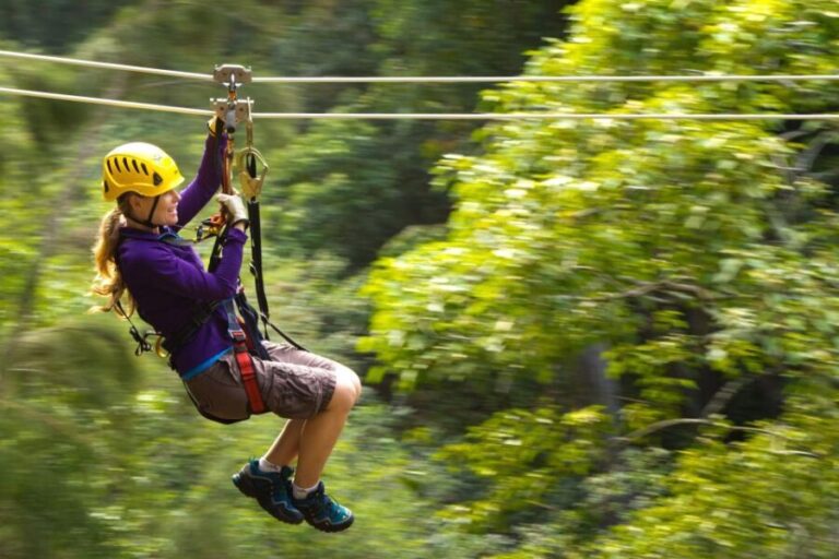 Big Island: Full-Day Kohala Zipline and Waterfall Adventure - Who Should Consider This Tour?