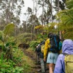 Big Island: Hawai'i Volcanoes National Park Guided Hike - A Detailed Look at the Hawaii Volcanoes National Park Guided Hike