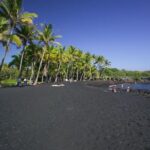 Big Island in a Day: Volcanoes Waterfalls Sightseeing and History - What Our Reviewers Say