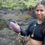 Big Island Jungle Tour with Banana and Guava Green Tea - Exploring the Details of the Big Island Jungle Tour