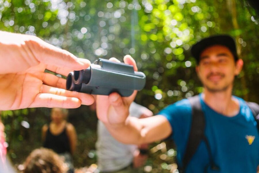 Big Island: Native Bird Watching & Hiking Tour - The Value of This Tour