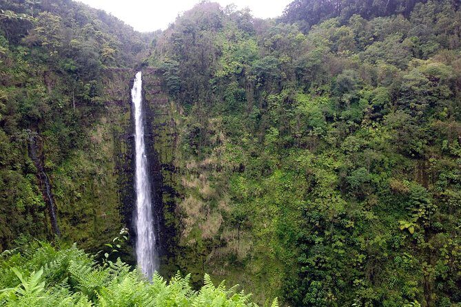 Big Island Volcano Adventure from Kona: Small Group - Why This Tour Offers Great Value