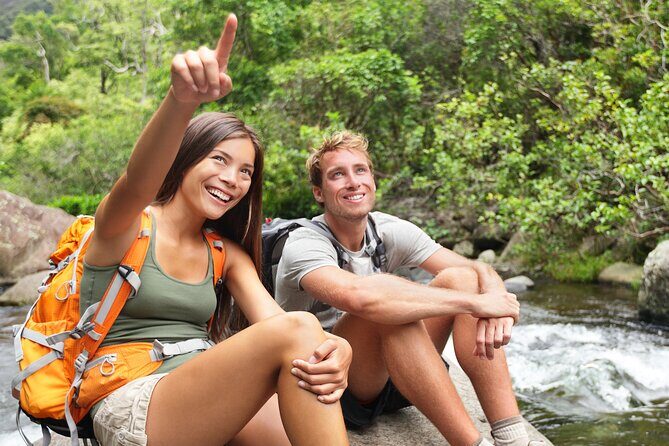 Big Island Waterfall Swim and Hike with Hilo Cruise Ship Pickup - The Value and Price