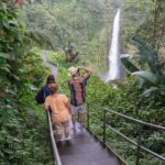 Big Island: Waterfall Tour with Swimming & Botanical Garden - Who Should Consider This Tour?