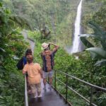 Big Island Waterfalls Tour with Swimming and Botanical Garden - In-Depth Look at the Tour Experience