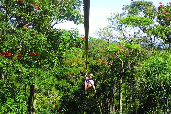 Big Island Zipline Adventure - An In-Depth Look at Big Island Zipline Adventure