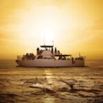 BIG Sunset Cruise - Dinner & Dolphin Watching in Guam - Practical Details and Tips