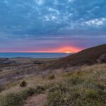 Big Sur's Old Coast Road E-Bike Tour - The Sum Up
