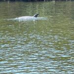 Bike Bicycle Rentals in Cape Coral - The Sum Up: Is This Bike Rental in Cape Coral Worth It?