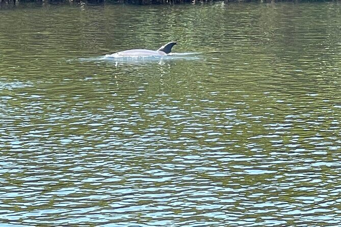 Bike Bicycle Rentals in Cape Coral - The Sum Up: Is This Bike Rental in Cape Coral Worth It?