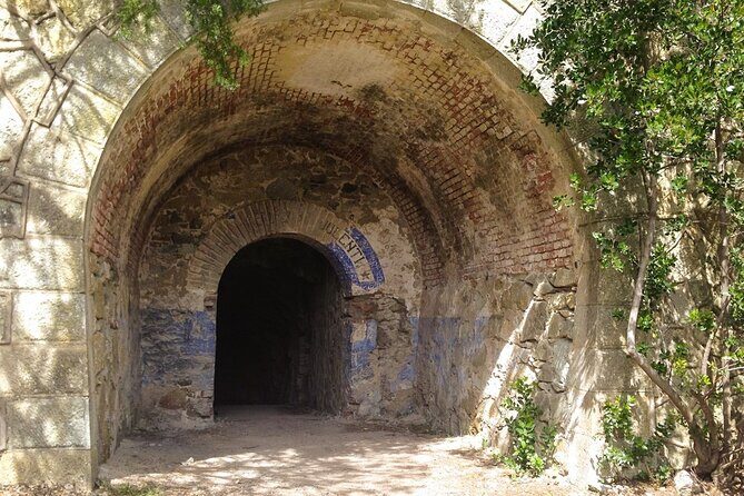 Bike-Nic Half Day Tour to the Bunkers of Monte Enfola - Exploring Elba on Two Wheels: A Deep Dive into the Bike-Nic Tour