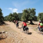 Bike oil tour in Monopoli - A Deeper Look at the Monopoli Bike Oil Tour
