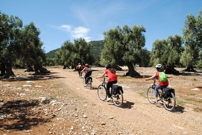 Bike oil tour in Monopoli - A Deeper Look at the Monopoli Bike Oil Tour
