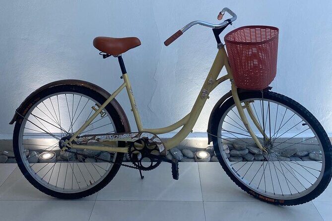 Bike Rental in Isla Mujeres - In-Depth Dive: Why It Works and What to Expect