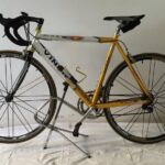 Bike rental in Venice - Who Should Consider This Bicycle Rental?