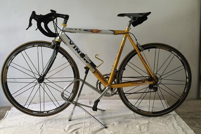 Bike rental in Venice - Who Should Consider This Bicycle Rental?