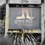 Bike Rental in Waitomo Caves - The Sum Up