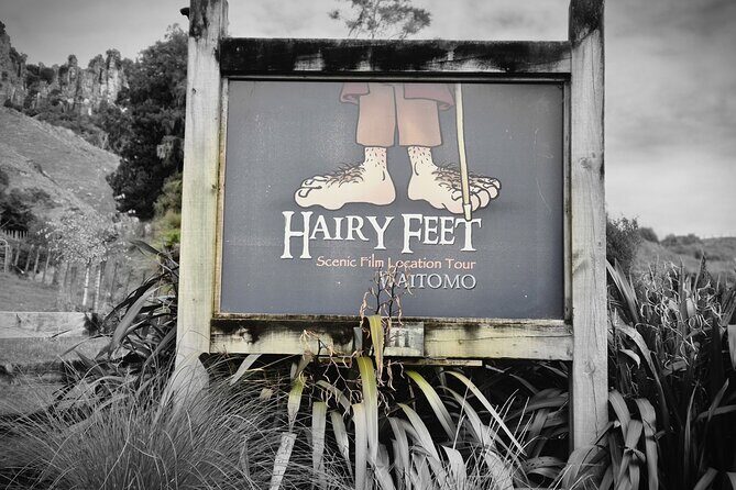 Bike Rental in Waitomo Caves - The Sum Up