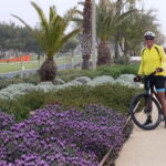 Bike rental: Port of Cagliari, Su Siccu, Nervi Park, Molentargius - Exploring Cagliari on Two Wheels: A Deep Dive into the Experience