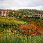 Bike Ride & WIne Tasting - Authenticity and Value
