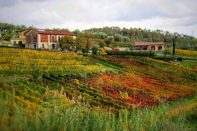 Bike Ride & WIne Tasting - Authenticity and Value