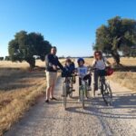 Bike Tour among the Ancient Olive Trees with EVO Oil Tasting - A Closer Look at the Experience