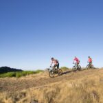 BIKE TOUR - BOTANICAL LEVELS OF MADEIRA, TRAIL EXPERIENCE - What Travelers Say