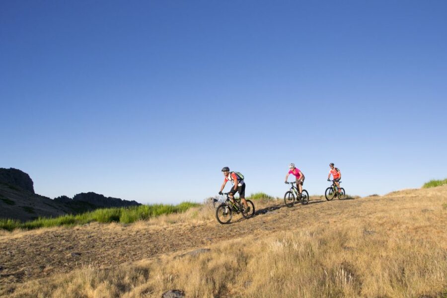 BIKE TOUR - BOTANICAL LEVELS OF MADEIRA, TRAIL EXPERIENCE - What Travelers Say