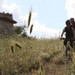 Bike Tour into the nature around Castel del Monte - Practical Details and Value