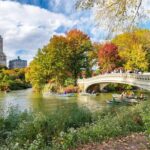 Bike Tour of Central Manhattan, Top Attractions and Nature - An Ideal Start Point: Thompson Central Park New York