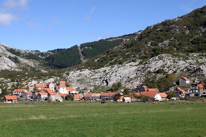 Bike tour - Panoramic downhill from Njegui and Kotor serpentines - What’s Included and What’s Not