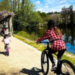 Bike tour with local guide (Arcos de Valdevez or National Park) - Dive Deep into the Experience: What to Expect from the Bike Tour