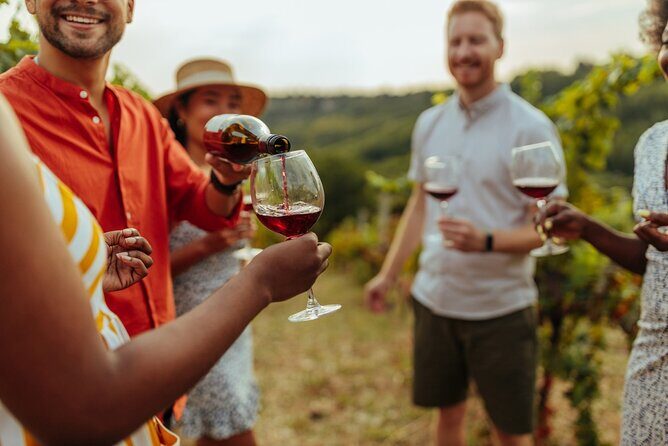 Bike & Wine Tour: Arrowtown to Valley of the Vines - Who Will Love This Experience?
