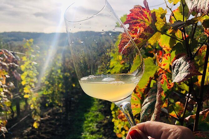 Bike & Wine tour in Dealu Mare wineland - Why This Tour is a Winner