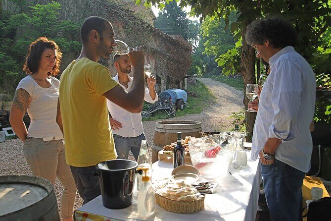 Biodynamic Farm and Natural Wines Tasting in Lazise - Who Should Consider This Tour?