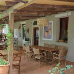 Biodynamic Wine Tasting with Producer in Vinci - Authentic Insights from Reviews