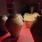 Biodynamics vineyard tour and tasting at Al di là del Fiume - The Itinerary: What to Expect