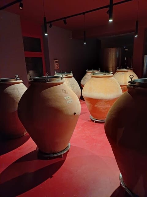 Biodynamics vineyard tour and tasting at Al di là del Fiume - The Itinerary: What to Expect