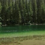 Biogradska Gora National Park Tour with Optional Add-Ons - Practical Details and What to Expect