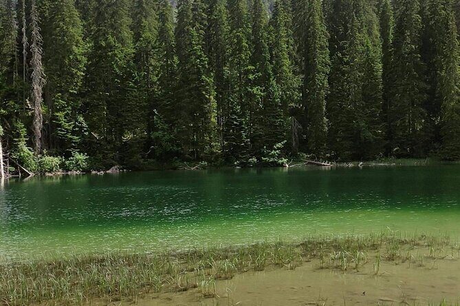 Biogradska Gora National Park Tour with Optional Add-Ons - Practical Details and What to Expect