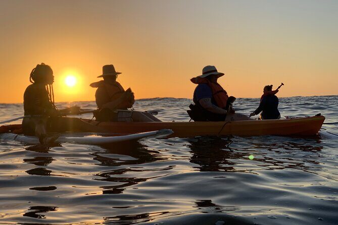 Bioluminescence by kayak or SUP to Los Arcos Puerto Vallarta