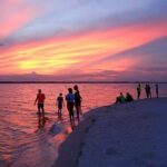 Bioluminescence Clear Kayak or Paddleboard Tour Near Orlando - What to Expect on the Tour