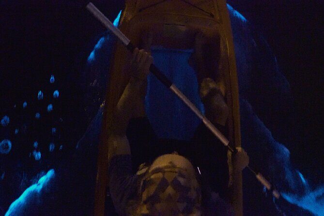 Bioluminescence Kayak Tour - Practical Considerations and Tips