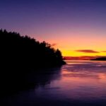 Bioluminescence Night Paddle - The Details of the Experience: What You Can Expect