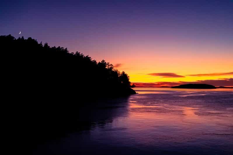 Bioluminescence Night Paddle - The Details of the Experience: What You Can Expect