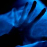 Bioluminescent Kayak Tour in Floridas Indian River Lagoon - Why It’s a Great Value