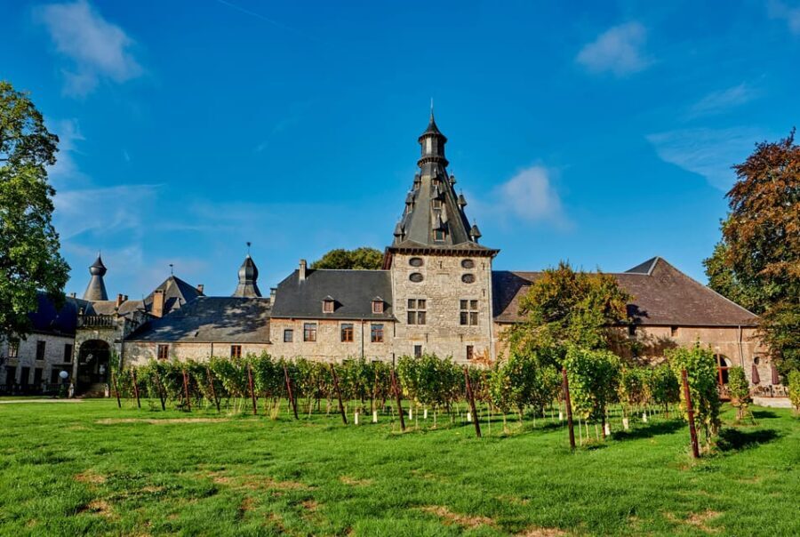 Bioul (near Dinant) : Château de Bioul Tour and Wine Tasting - A Detailed Look at the Château de Bioul Tour